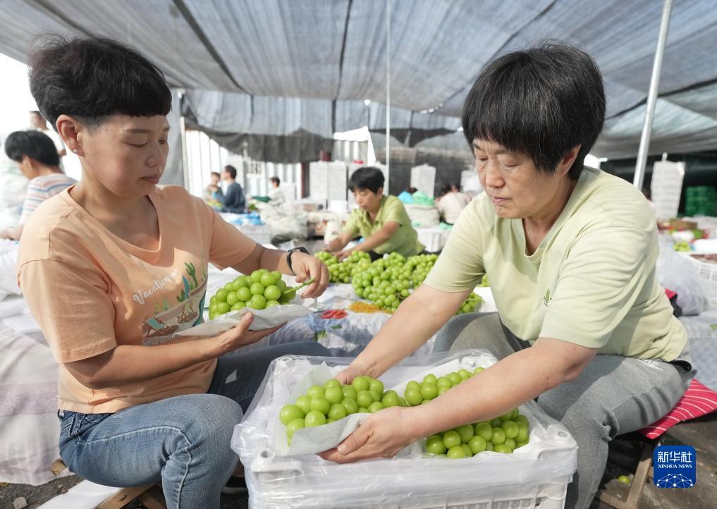 百胜赌场一黄娱乐